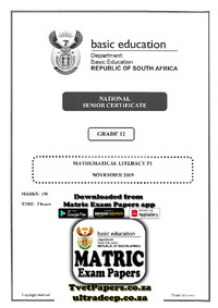Mathematical Literacy P1 Nov 2019 Eng.pdf